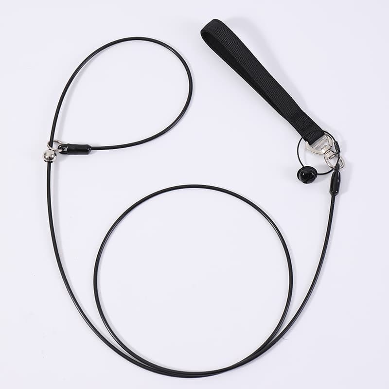Pet Leash And Collar Dog Walking Leash