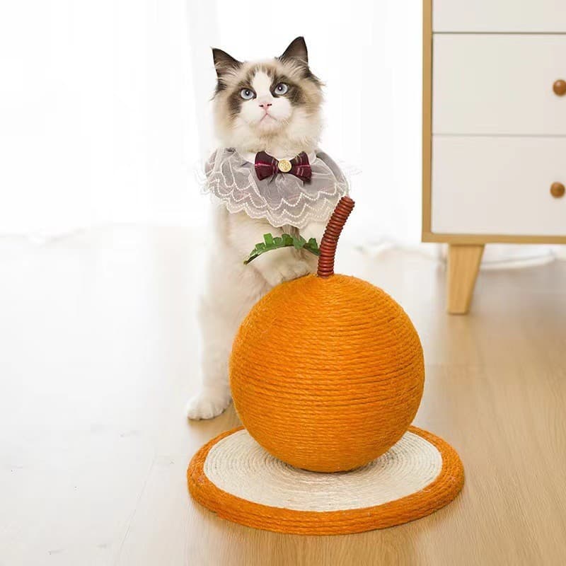 Sisal Cat Scratcher Cat Toy For Solo
