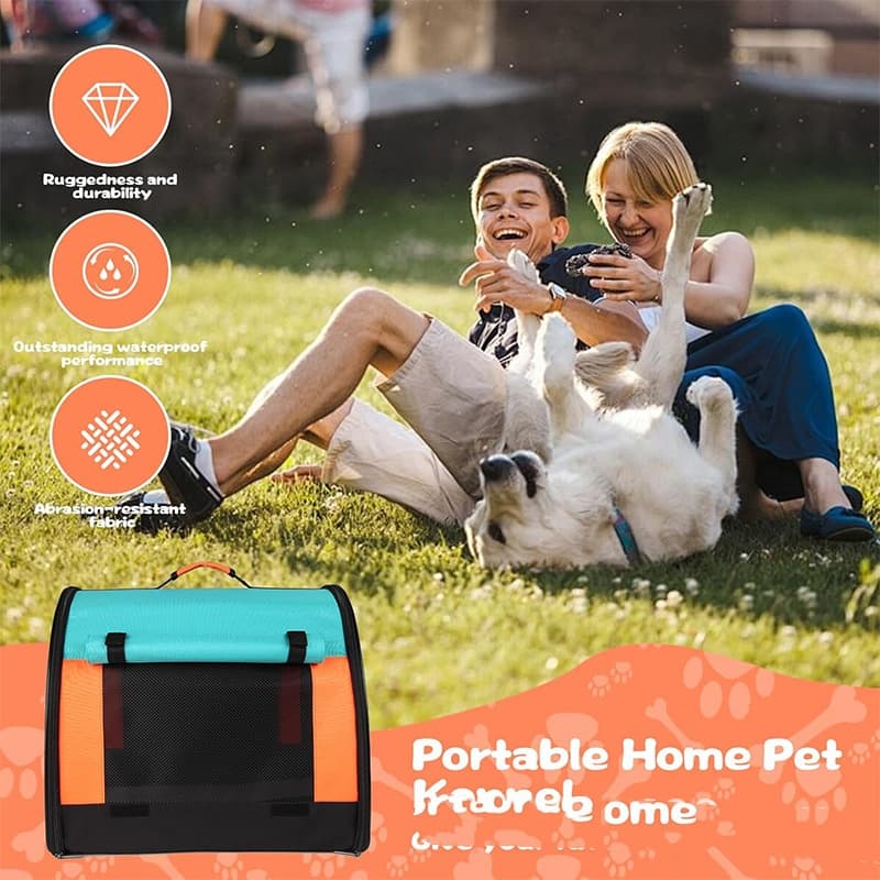 Amazons New Foldable Dog And Cat Harness