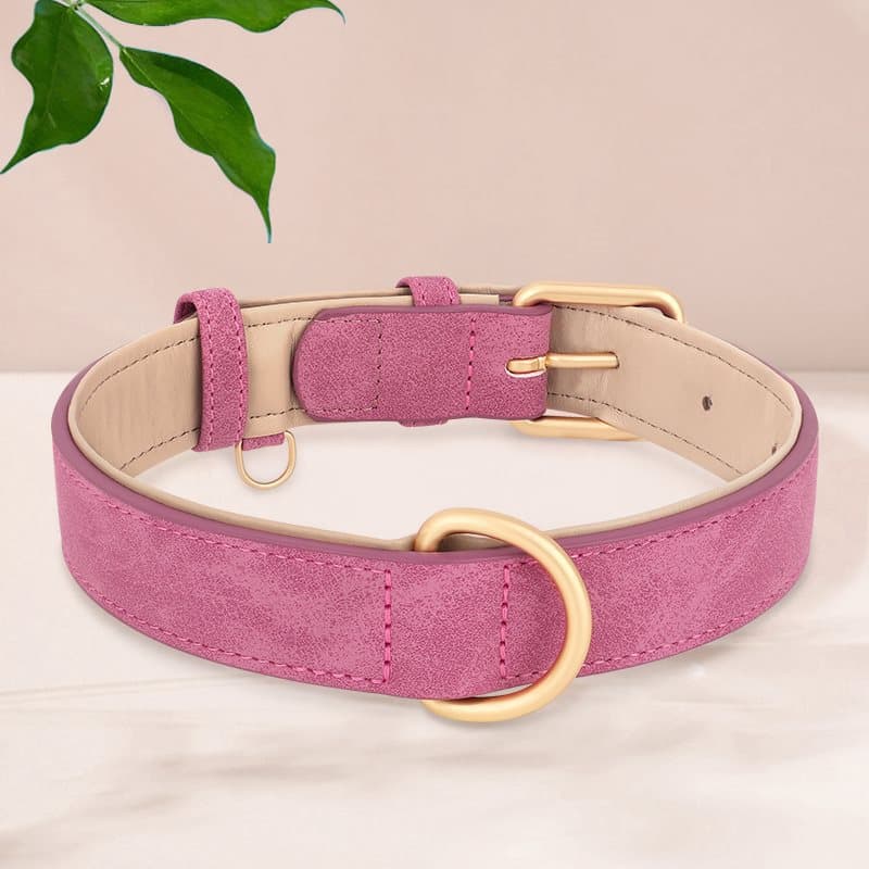 Dog Leash Pet Vintage Anti-burst Large Medium