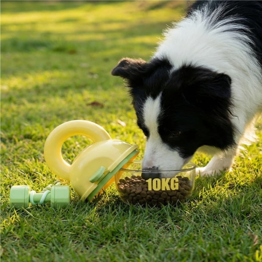 Portable Travel Mug Outdoor Water Bottle For On-the-go Use