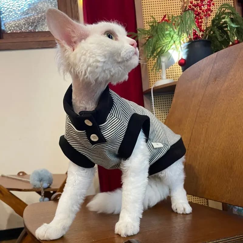 Sphynx Cat Spring Soft Sleeveless T-Shirt, Black and White Striped Fashion Apparel