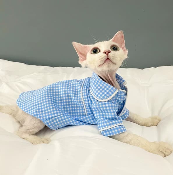 Summer Plaid Pajamas For Sphynx And Devon Rex Cats.