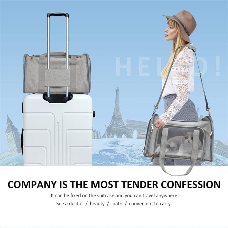 Portable And Breathable Small Dog And Cat Portable Pet Travel Bag For Carrying On The Go And In The Vehicle